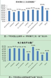 中國互聯(lián)網(wǎng)絡信息中心與互聯(lián)網(wǎng)信息服務的核心作用